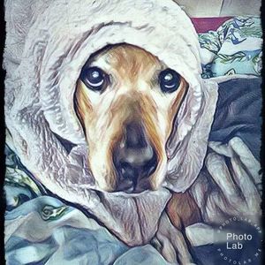 Meet your Posher, Ashlee